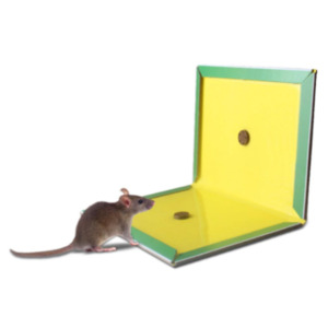 Թակարդ-գիրք(փոքր) Mouse & Rat 17*12սմ
